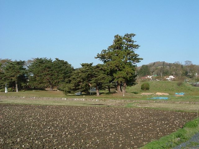 特別史跡・平泉・柳之御所跡・今は畑の清衡・基衡の居館跡の写真の写真