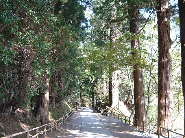 特別史跡・平泉・中尊寺・月見坂の写真の写真