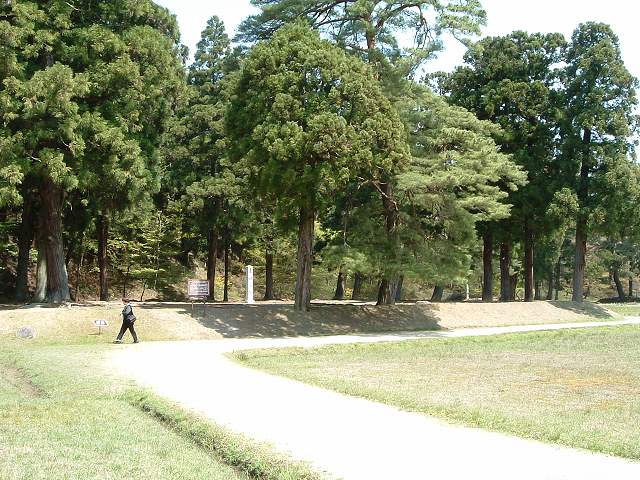 特別史跡・特別名勝・毛越寺・かつては金堂、講堂、南大門などの建物があったの写真の写真