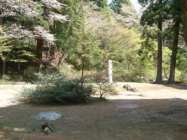 特別史跡・特別名勝・毛越寺・講堂跡の写真の写真