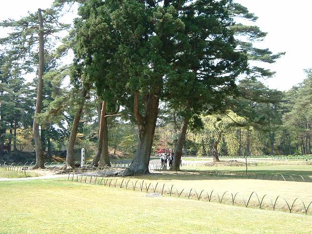 特別史跡・特別名勝・毛越寺・庭園・散策路の写真の写真