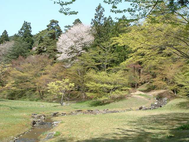 特別史跡・特別名勝・毛越寺・庭園・池に水を引くための遣水の写真の写真