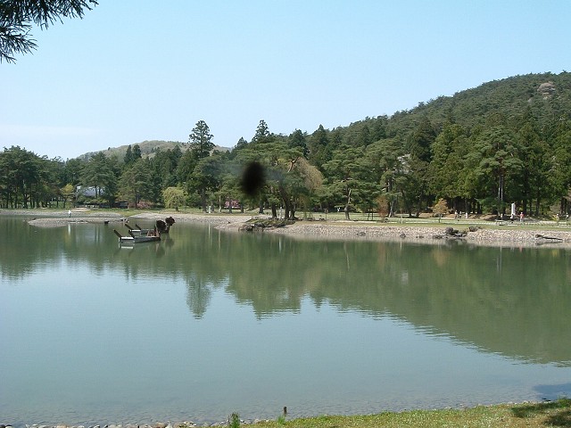 特別史跡・特別名勝・毛越寺・庭園・龍頭鷁首の画船が浮かぶ大泉が池の写真の写真