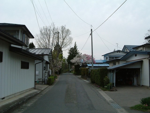重要伝統的建造物群保存地区・金ヶ崎・道としての遺構が残るのみの写真の写真
