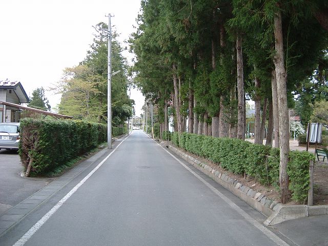 重要伝統的建造物群保存地区・金ヶ崎・新旧のものが融合するのが日本の特徴の写真の写真