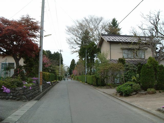 重要伝統的建造物群保存地区・金ヶ崎・石垣と生垣の保存状態が良いの写真の写真
