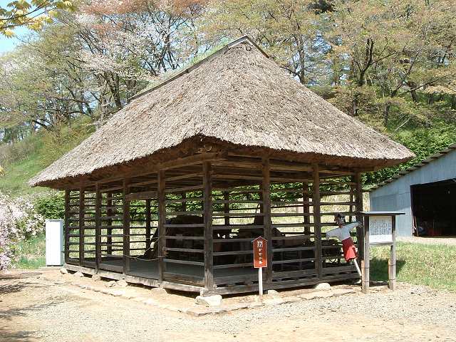 北上・ませ小屋の写真の写真