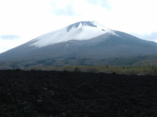 特別天然記念物・岩手山・焼走り熔岩流・山とこの地の間には植物が生えているの写真の写真