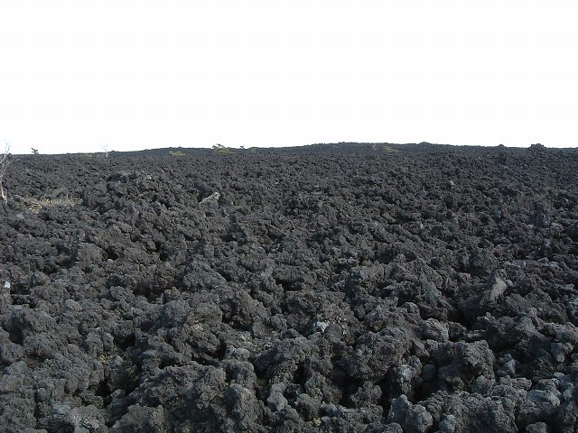 特別天然記念物・岩手山・焼走り熔岩流の写真の写真