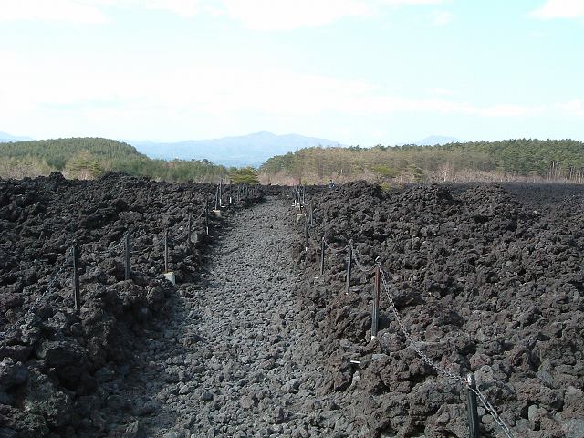 特別天然記念物・岩手山・焼走り熔岩流・石をどかして遊歩道が作られているの写真の写真