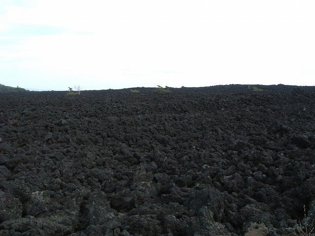 特別天然記念物・岩手山・焼走り熔岩流・植物がほとんど生えない溶岩の塊の写真の写真