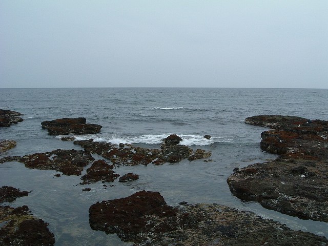 大湊からみる陸奥湾の写真の写真