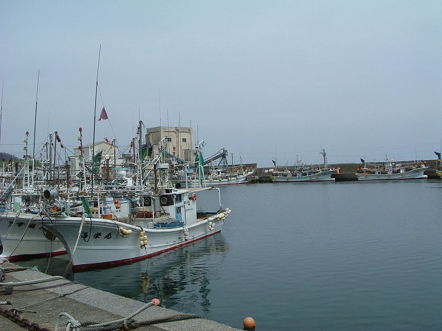 大湊・大湊港に停泊する漁船の写真の写真