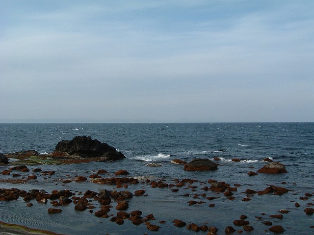 大畑・このあたりでは何が採れるのだろうか？の写真の写真