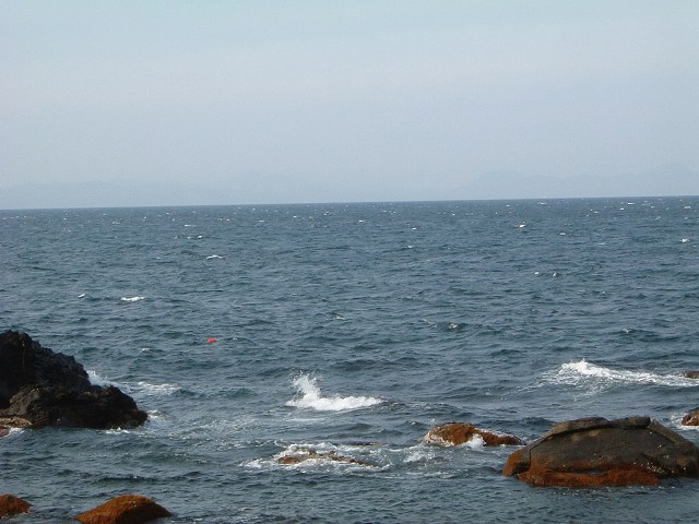 大畑・太平洋を眺めるの写真の写真