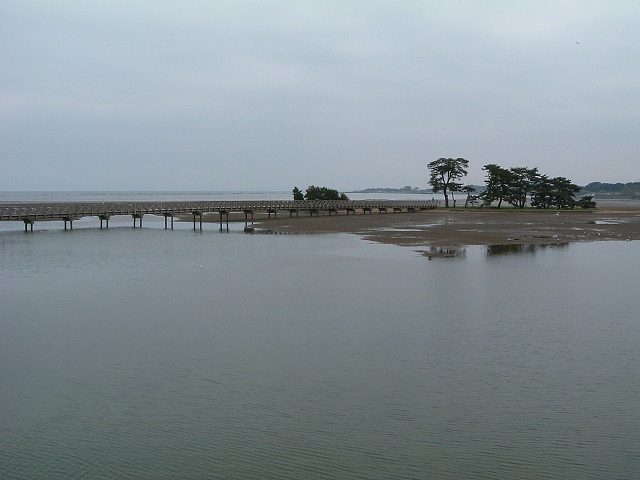 特別天然記念物・小湊のハクチョウおよびその渡来地・小湊は陸奥湾に面しているの写真の写真