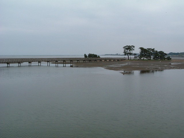 特別天然記念物・小湊のハクチョウおよびその渡来地・小湊は陸奥湾に面しているの写真の写真