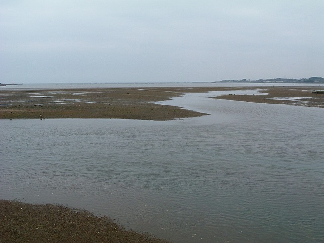 特別天然記念物・小湊のハクチョウおよびその渡来地・白鳥の飛来地だがGWには飛び立ってしまの写真の写真