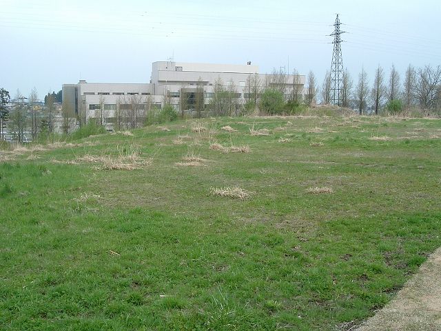 特別史跡・青森・三内丸山遺跡・大人の墓（土坑墓）の写真の写真
