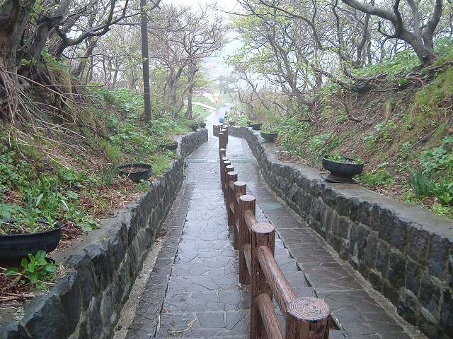 竜飛岬・階段国道・本当に階段の写真の写真