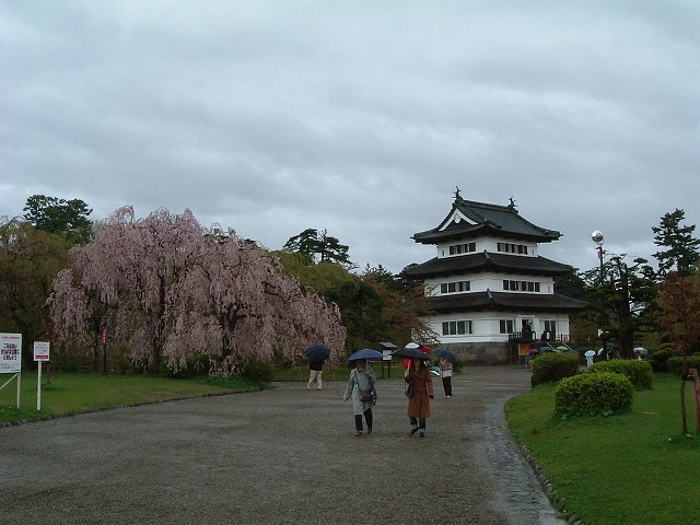 弘前・弘前城・本丸と天守閣の写真の写真