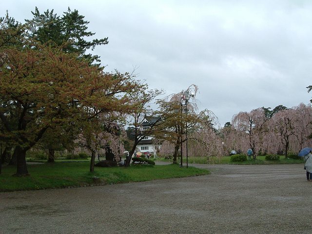 弘前・弘前城・本丸の写真の写真