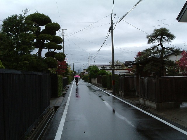 重要伝統的建造物群保存地区・弘前・武家屋敷の写真の写真