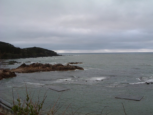 冷たさが漂う日本海の写真の写真