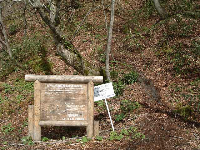 世界遺産・白神山地１の写真の写真