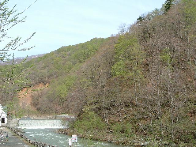 世界遺産・白神山地２の写真の写真