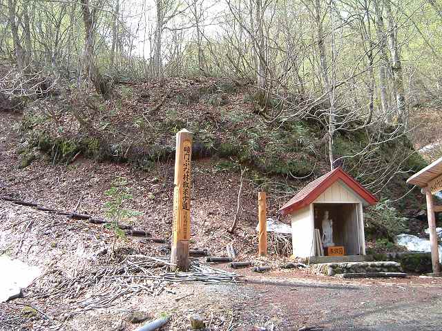 世界遺産・白神山地３の写真の写真