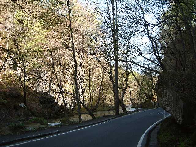 特別名勝・天然記念物・奥入瀬渓流２４の写真の写真