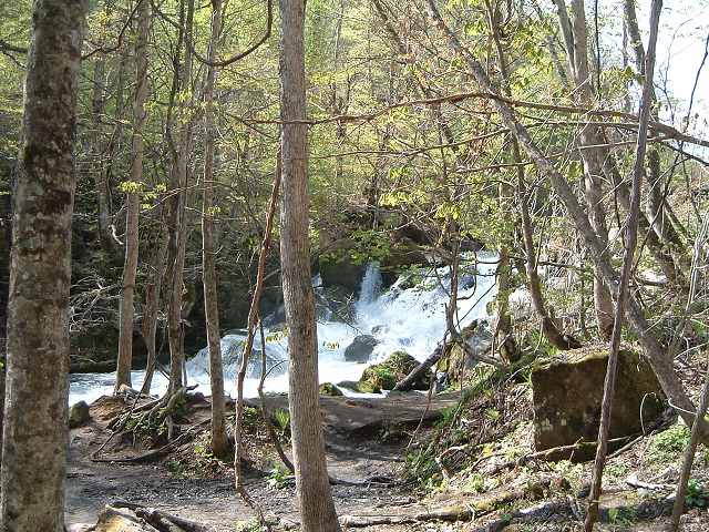 特別名勝・天然記念物・奥入瀬渓流２８の写真の写真