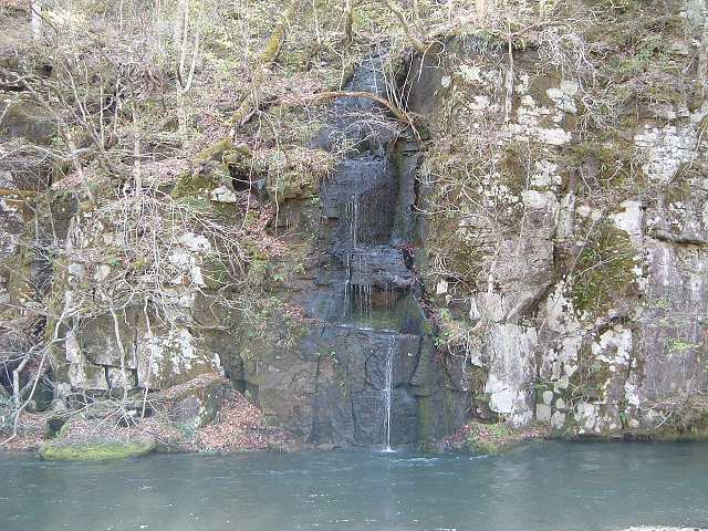 特別名勝・天然記念物・奥入瀬渓流３１の写真の写真