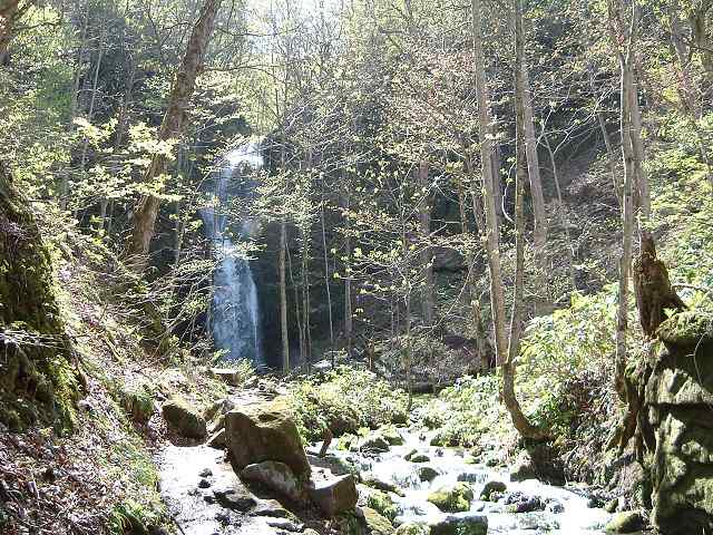 特別名勝・天然記念物・奥入瀬渓流３２の写真の写真