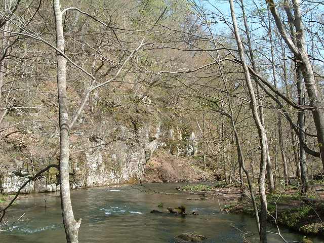 特別名勝・天然記念物・奥入瀬渓流３３の写真の写真