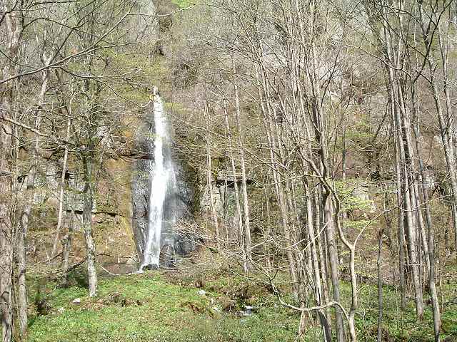 特別名勝・天然記念物・奥入瀬渓流３５の写真の写真
