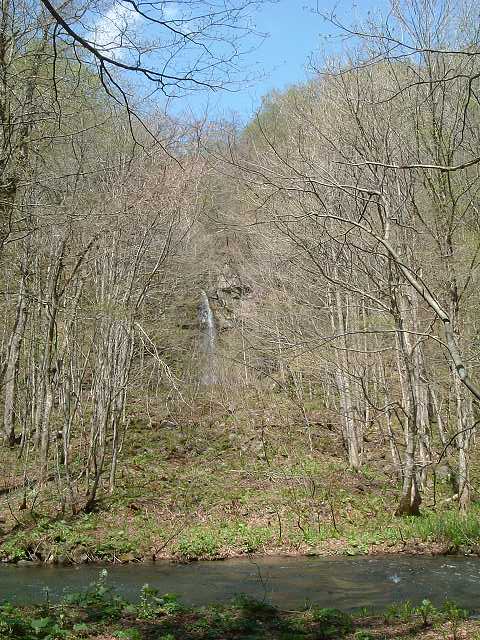 特別名勝・天然記念物・奥入瀬渓流５３の写真の写真