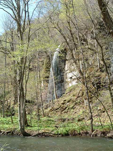 特別名勝・天然記念物・奥入瀬渓流５４の写真の写真
