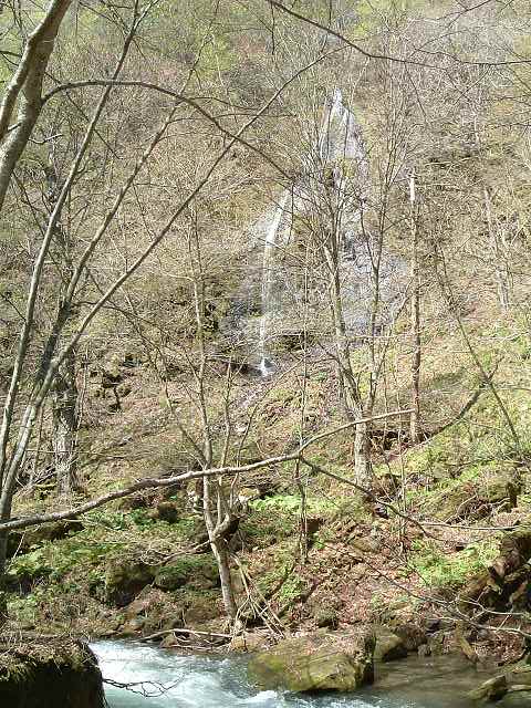 特別名勝・天然記念物・奥入瀬渓流５５の写真の写真