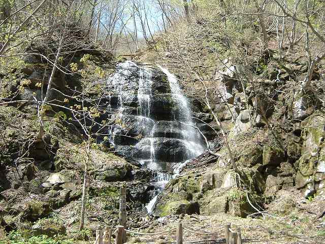 特別名勝・天然記念物・奥入瀬渓流・九段の滝の写真の写真