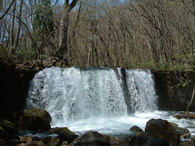 特別名勝・天然記念物・奥入瀬渓流・銚子の滝の写真の写真