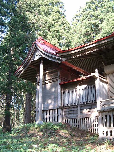 7020の写真の写真