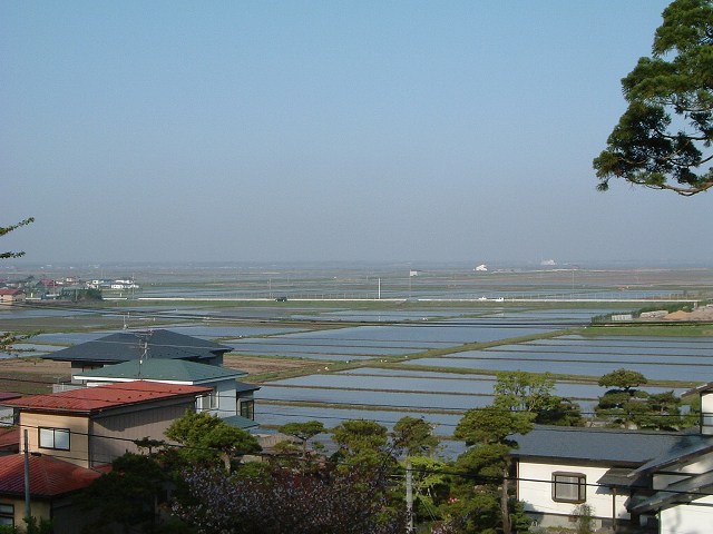 八郎潟の写真の写真