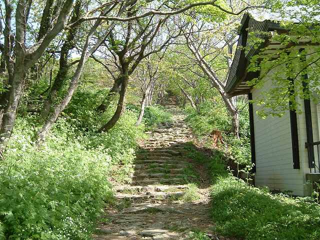 男鹿・赤神神社の参道の写真の写真