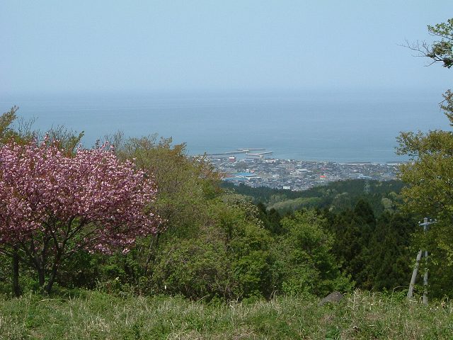 高台から見る海沿いの集落の写真の写真