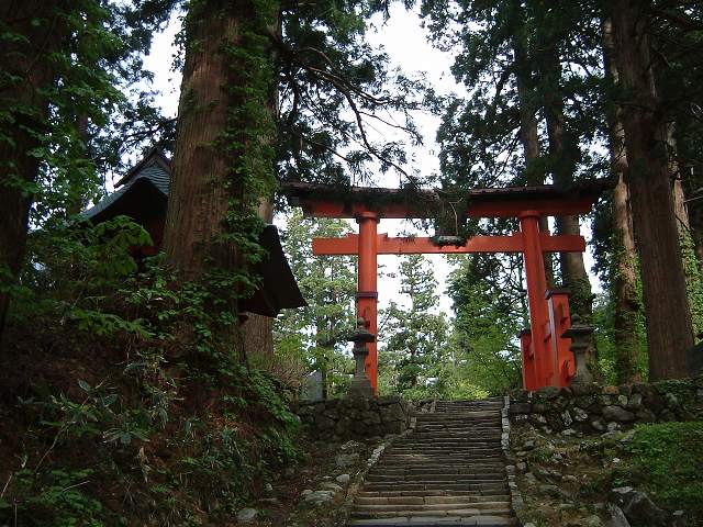 羽黒山・出羽三山神社・杉並木はここで終わりの写真の写真