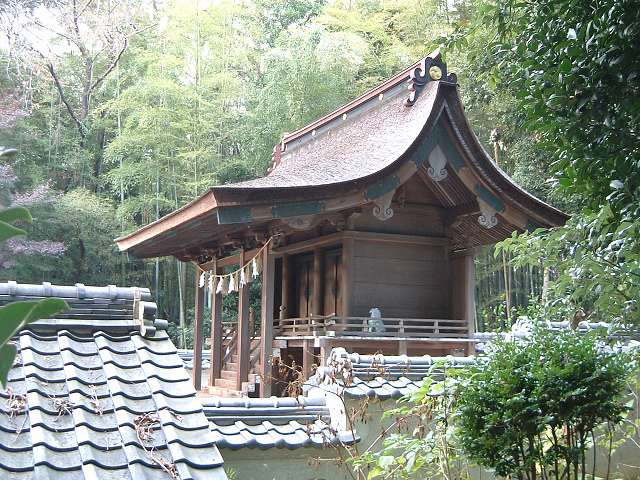 重要文化財・八幡宮本殿 (岡崎市福岡町)の写真の写真