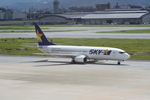 スカイマーク・B737-800