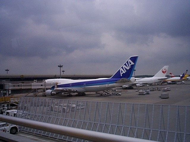 全日空１の写真の写真